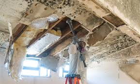 Best Industrial Mold Remediation  in Pelican Marsh, FL